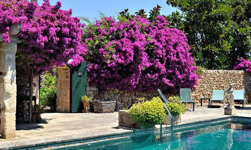 Fotos del hotel Rural Biniarroca - Adults Only:  15