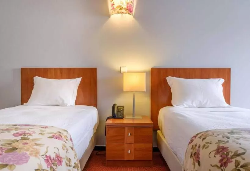 Fotos del hotel Catolica:  19