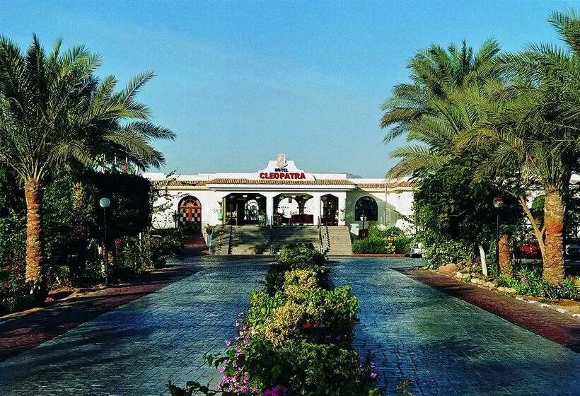 Fotos del hotel Cleopatra Tsokkos:  4