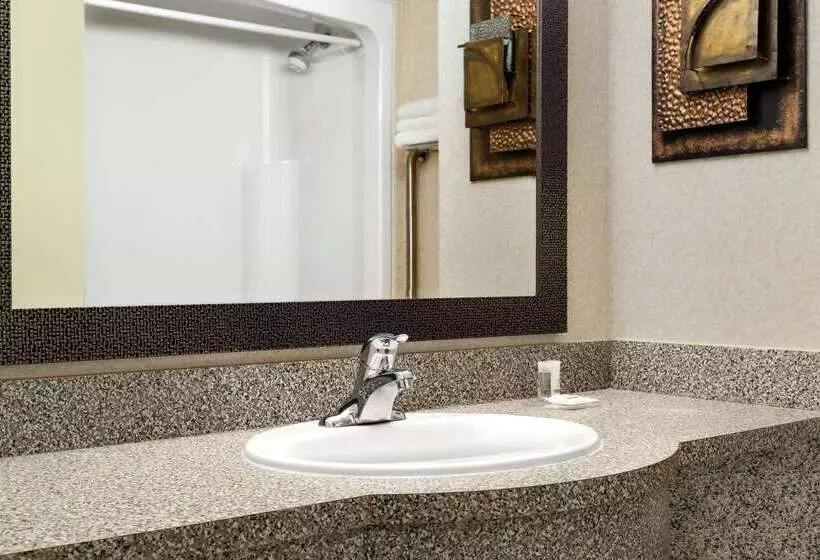 Fotos del hotel Days By Wyndham Niagara Falls Centre St. By The Falls:  10