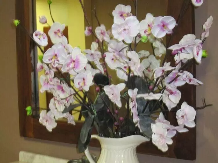 Fotos del hotel Finca La Mansión:  5