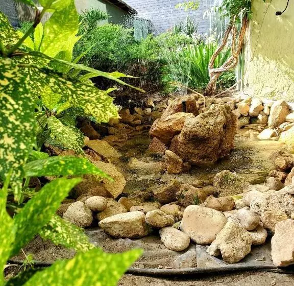 Fotos del hotel Juli:  13