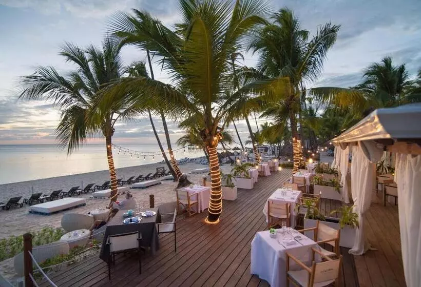 Fotos del hotel Catalonia La Romana - All Inclusive:  48