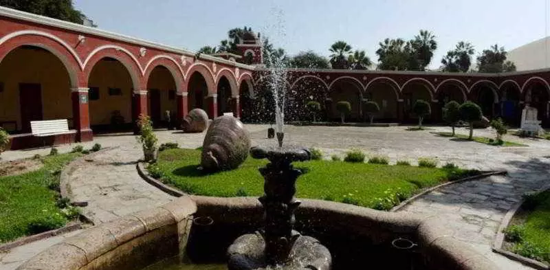 Fotos del hotel Dm Es Mossone  Ica:  4