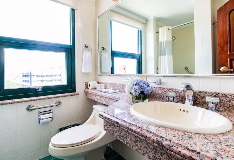 Fotos del hotel Dg Studio Suites:  7