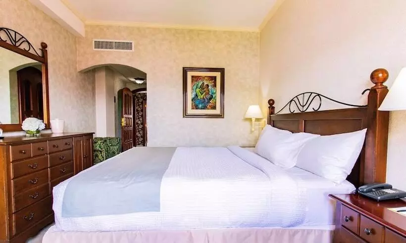 Fotos del hotel Dg Studio Suites:  2