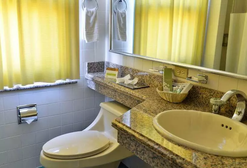 Fotos del hotel Dg Studio Suites:  10