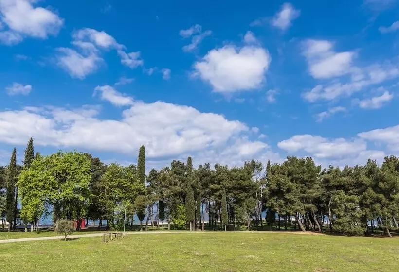 Fotos del hotel Meliá Coral For Plava Laguna:  28