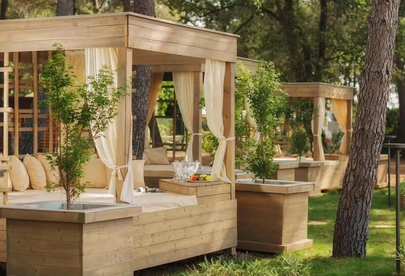 Fotos del hotel Meliá Coral For Plava Laguna:  12