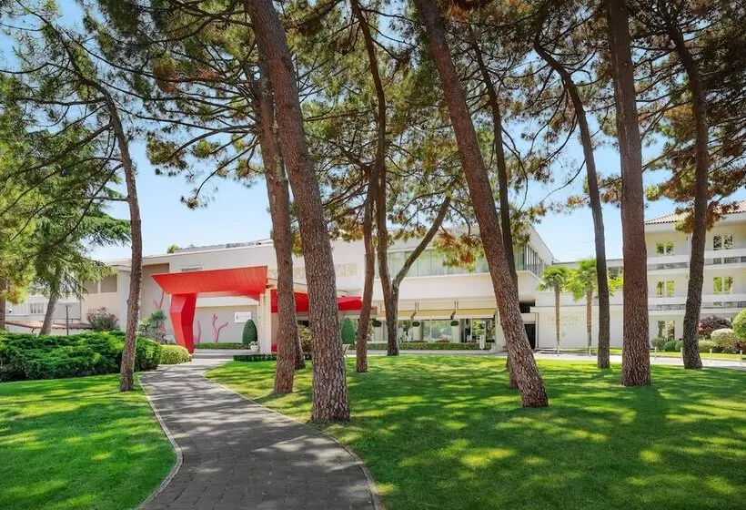 Fotos del hotel Meliá Coral For Plava Laguna:  29