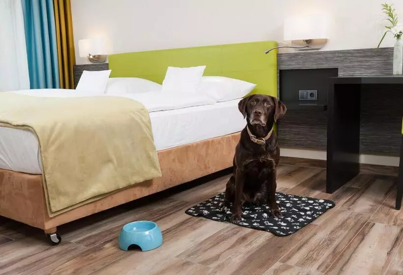 Fotos del hotel Sisuites:  2