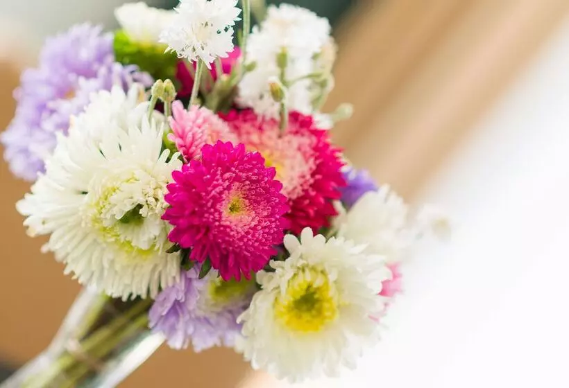 Fotos del hotel Sisuites:  8