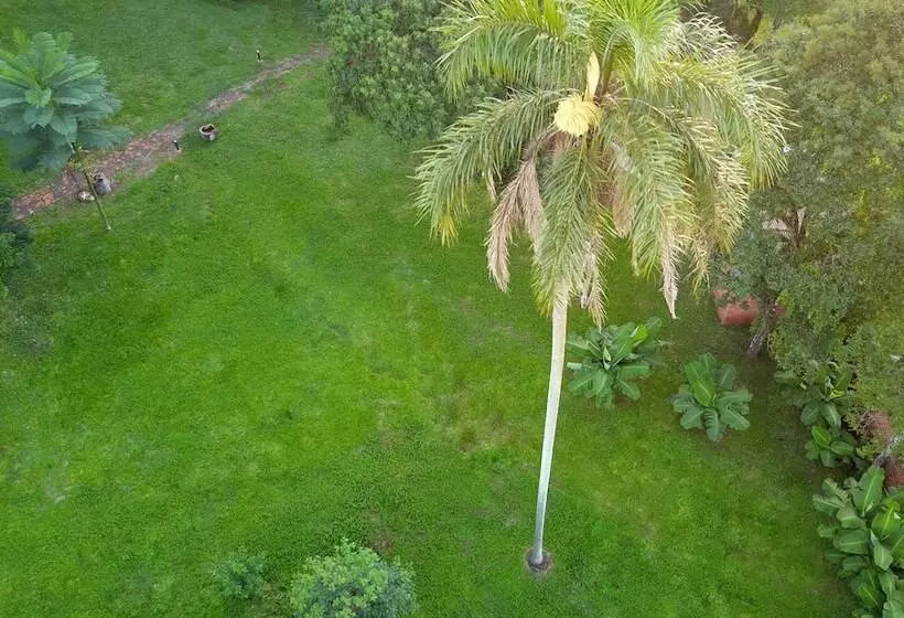 Fotos del hotel Carmen:  6