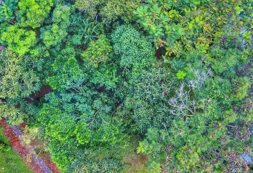 Fotos del hotel Carmen:  12