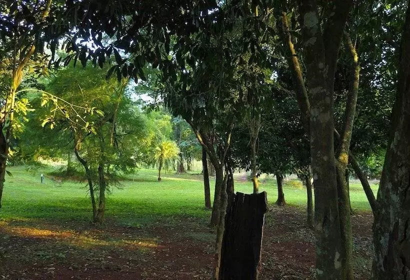 Fotos del hotel Carmen:  10