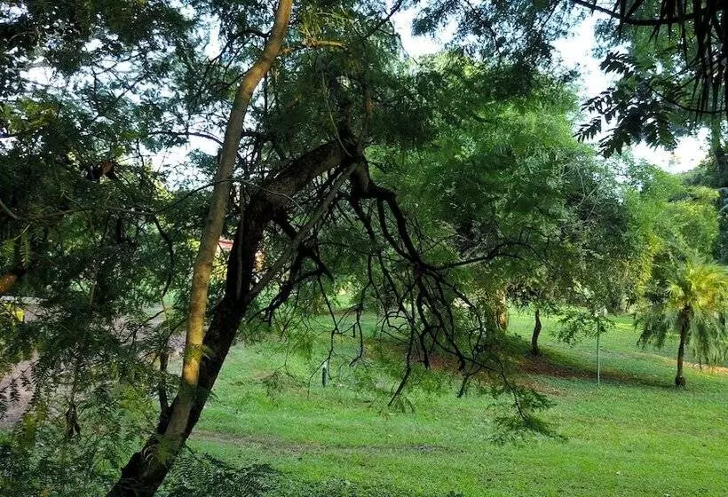 Fotos del hotel Carmen:  5