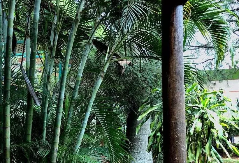 Fotos del hotel Carmen:  9