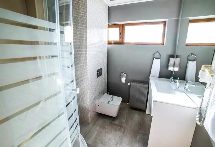 Fotos del hotel Boavista:  6