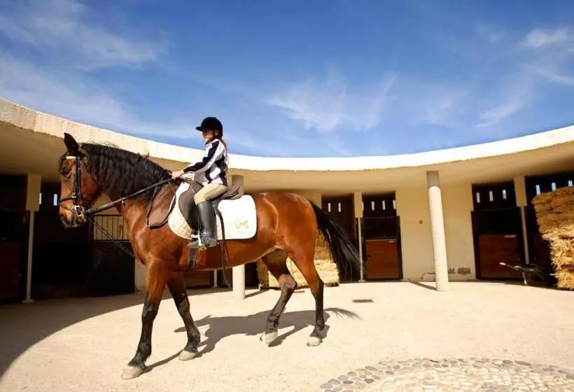 Fotos del hotel Cortijo El Sotillo:  14