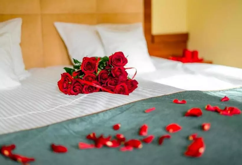 Fotos del hotel Hubertus Rzeszów:  24