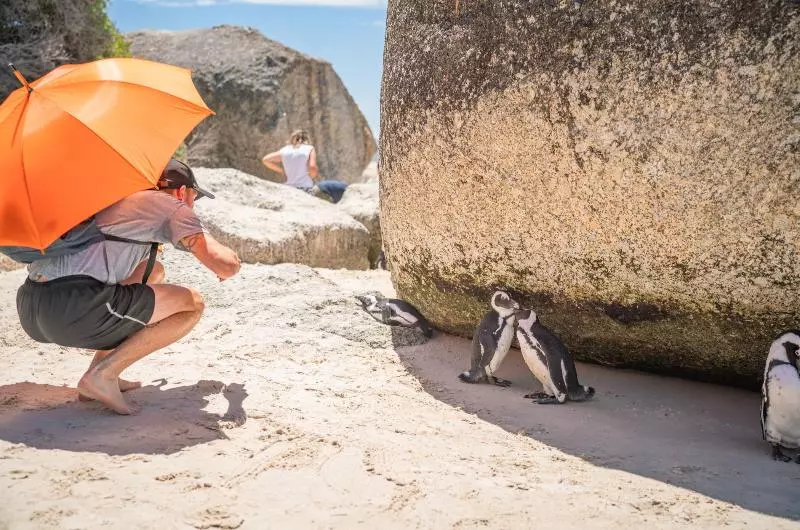 Fotos del hotel never@home Cape Town:  9