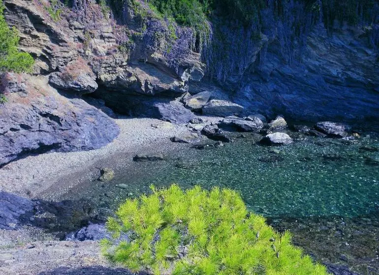 Fotos del hotel & Apartaments Thalassa Sport & Spa:  15