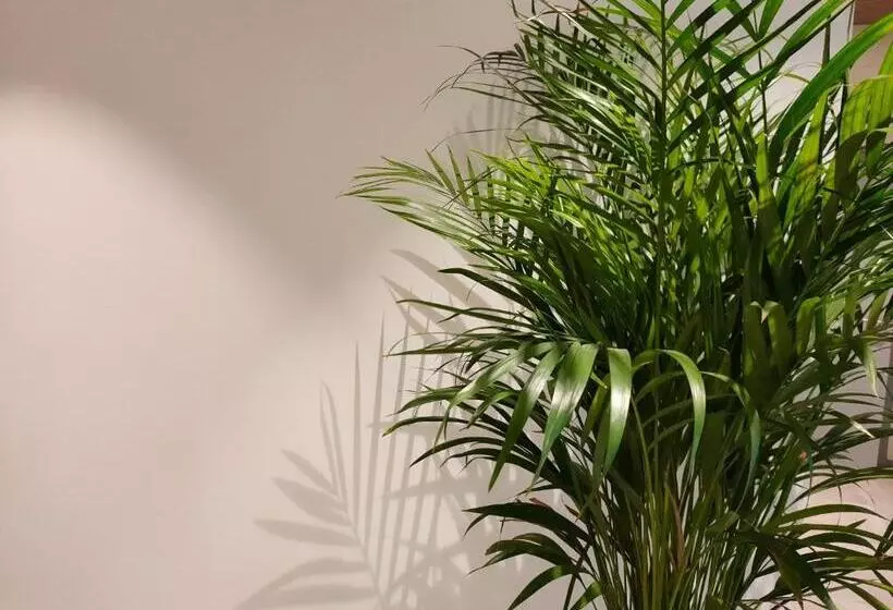 Fotos del hotel & Apartaments Thalassa Sport & Spa:  23