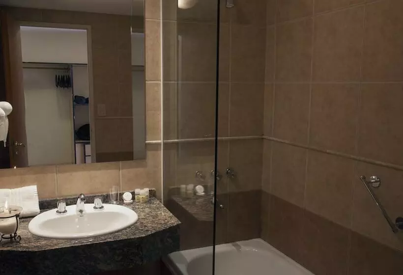 Fotos del hotel Terraza Coirones:  4