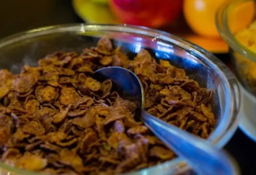 Fotos del hotel Terraza Coirones:  14