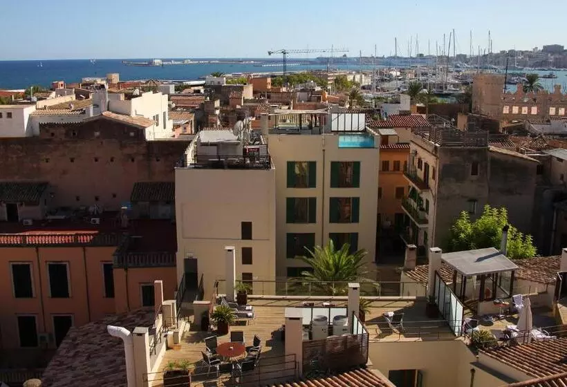 Fotos del hotel Petit Palace Hotel Tres:  10