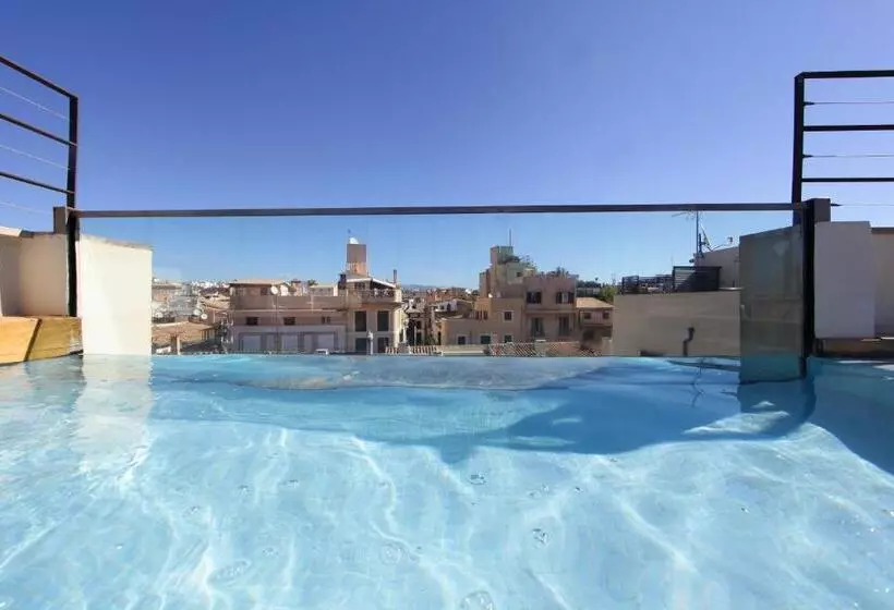 Fotos del hotel Petit Palace Hotel Tres:  2