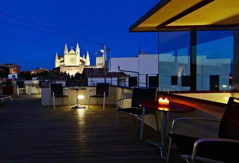 Fotos del hotel Petit Palace Hotel Tres:  8