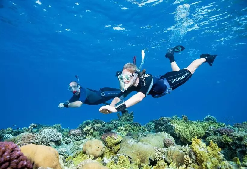 Fotos del hotel Turtle's Inn:  10