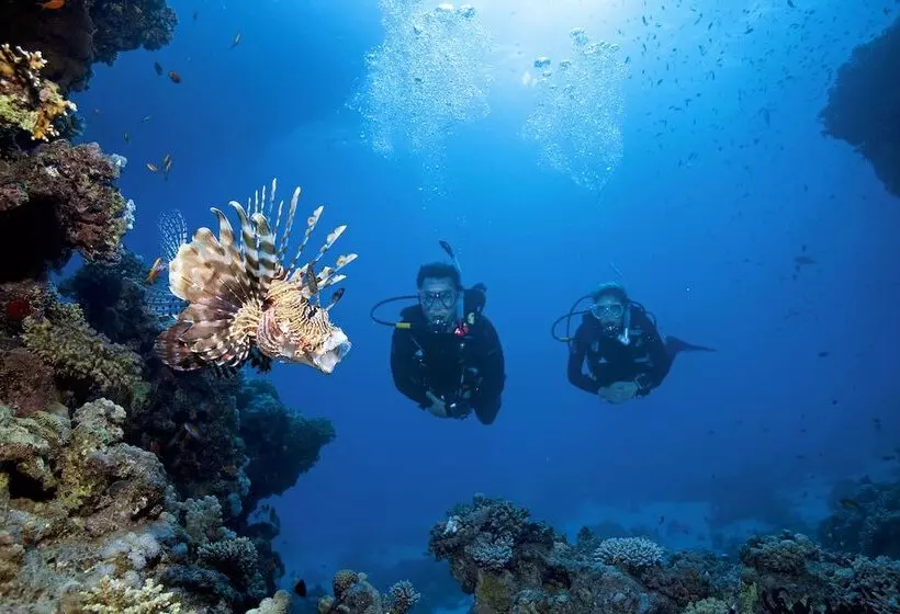 Fotos del hotel Turtle's Inn:  12