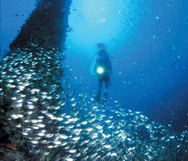 Fotos del hotel Turtle's Inn:  7