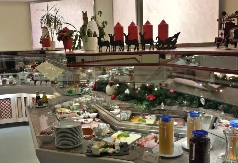 Fotos del hotel Ambassador:  19