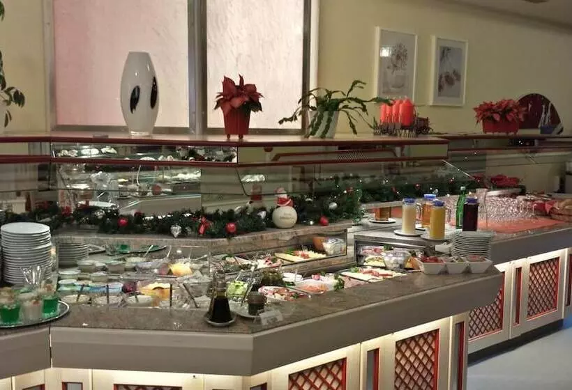 Fotos del hotel Ambassador:  8