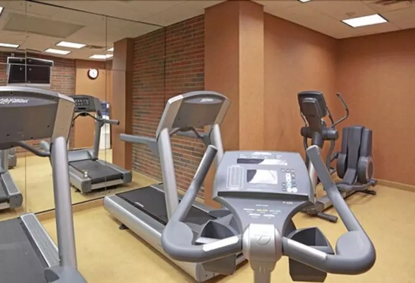 Fotos del hotel Holiday Inn Niagara Falls-by The Falls, An Ihg:  3