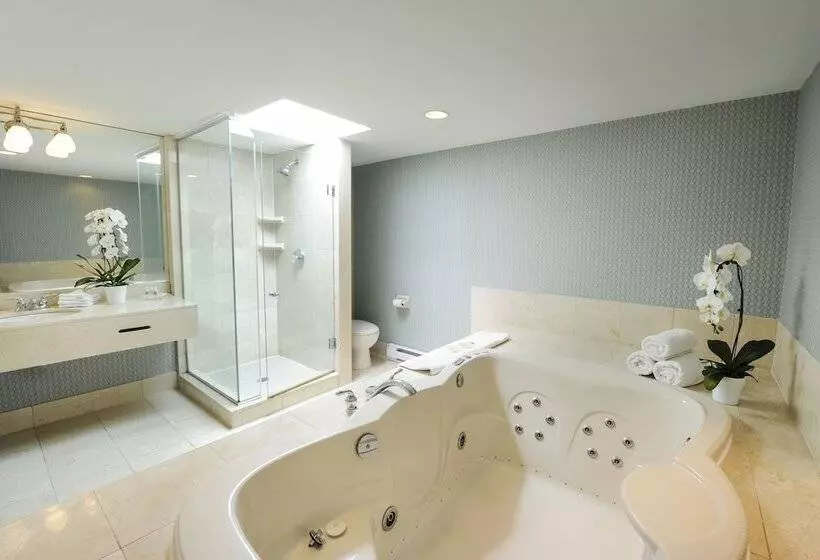 Fotos del hotel Holiday Inn Niagara Falls-by The Falls, An Ihg:  7