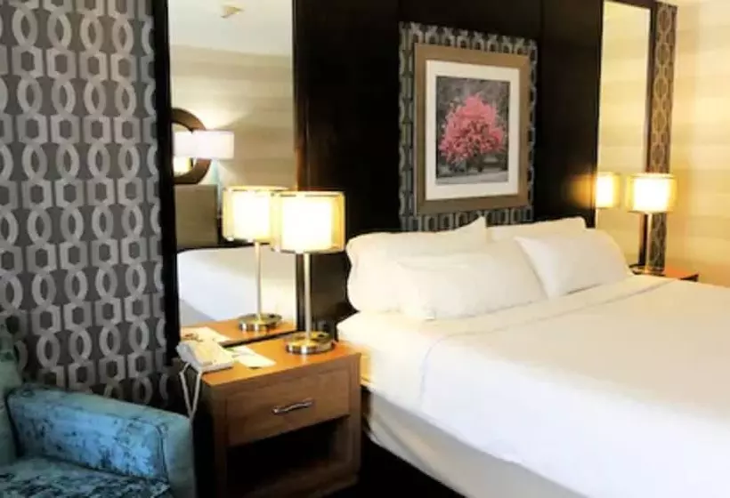 Holiday Inn Niagara Falls-by The Falls, An Ihg