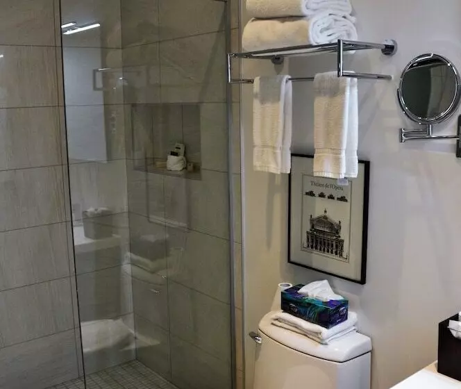 Fotos del hotel Le Relais Lyonnais:  6