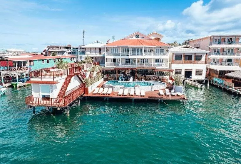 Fotos del hotel Tropical Suites:  10