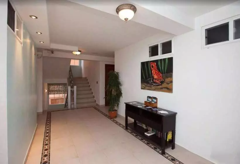 Fotos del hotel Tropical Suites:  8