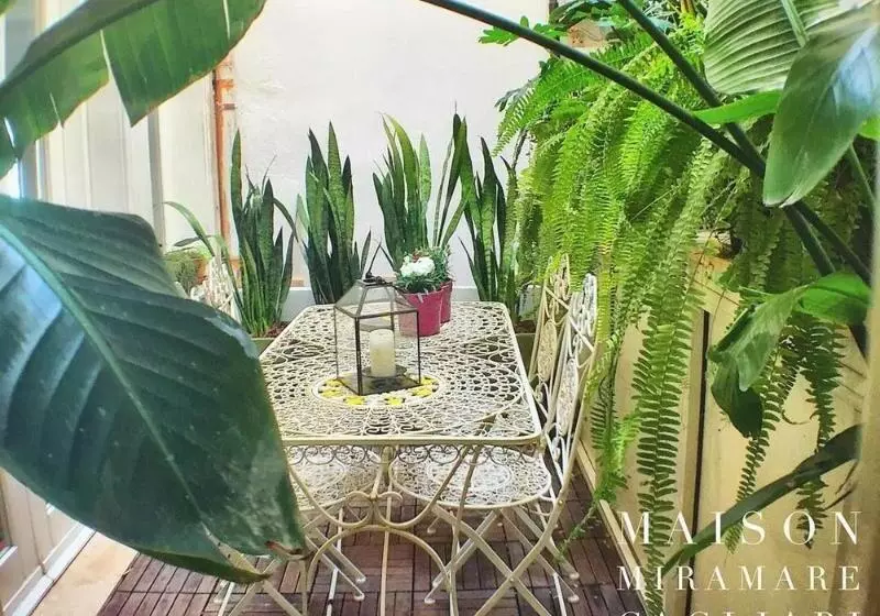 Fotos del hotel Miramare Cagliari  Museo:  6