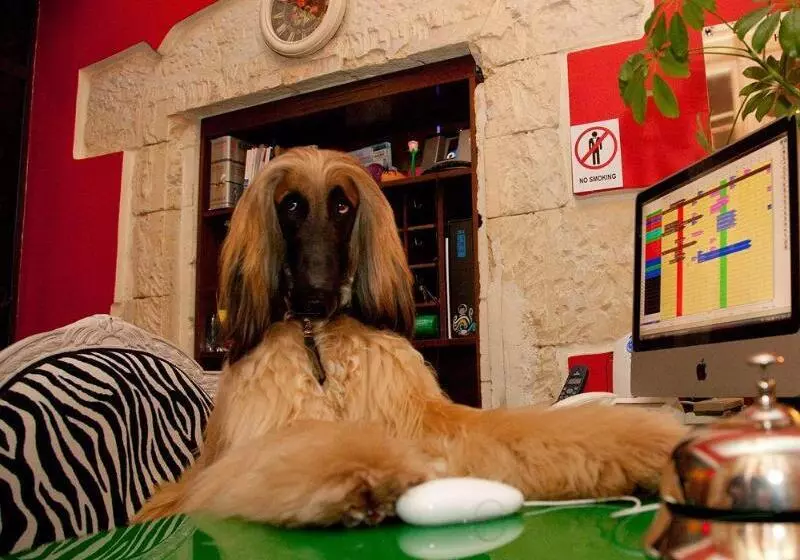 Fotos del hotel Miramare Cagliari  Museo:  19