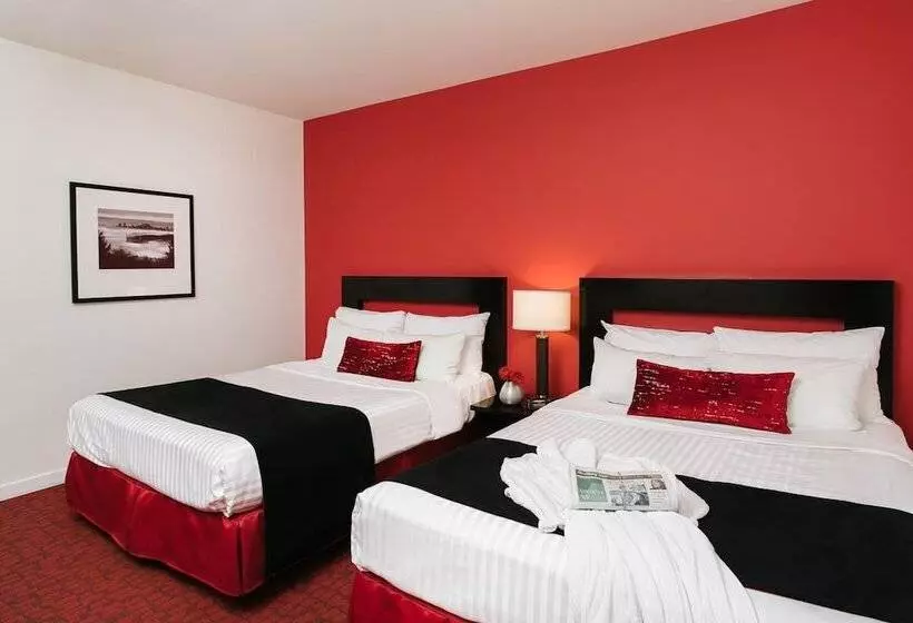 Fotos del hotel Moda Hotel:  14