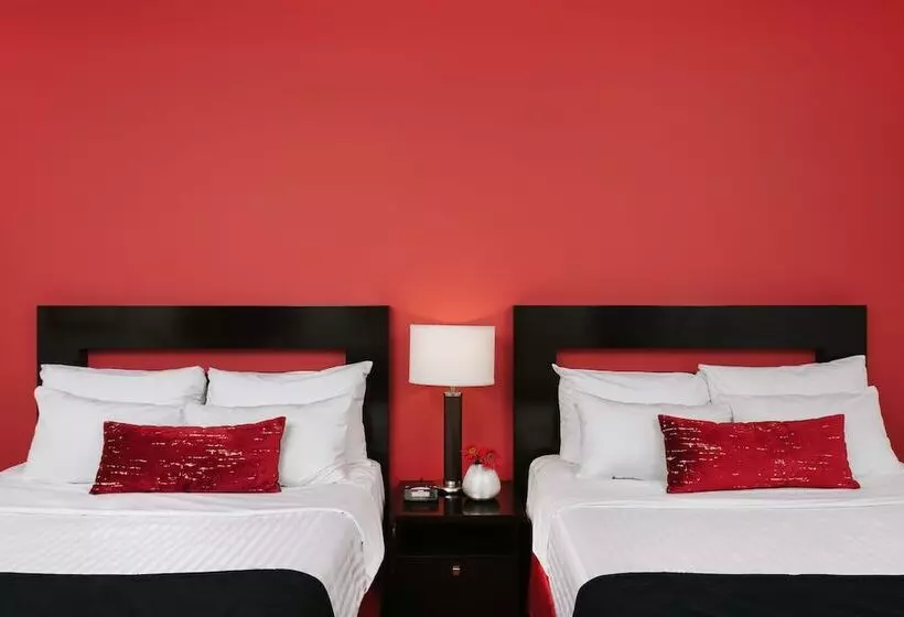 Fotos del hotel Moda Hotel:  19