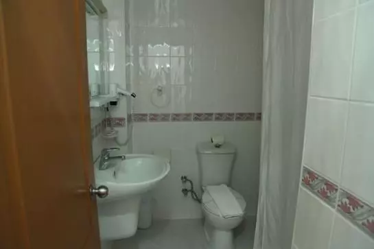 Fotos del hotel Hotel Pelin:  9