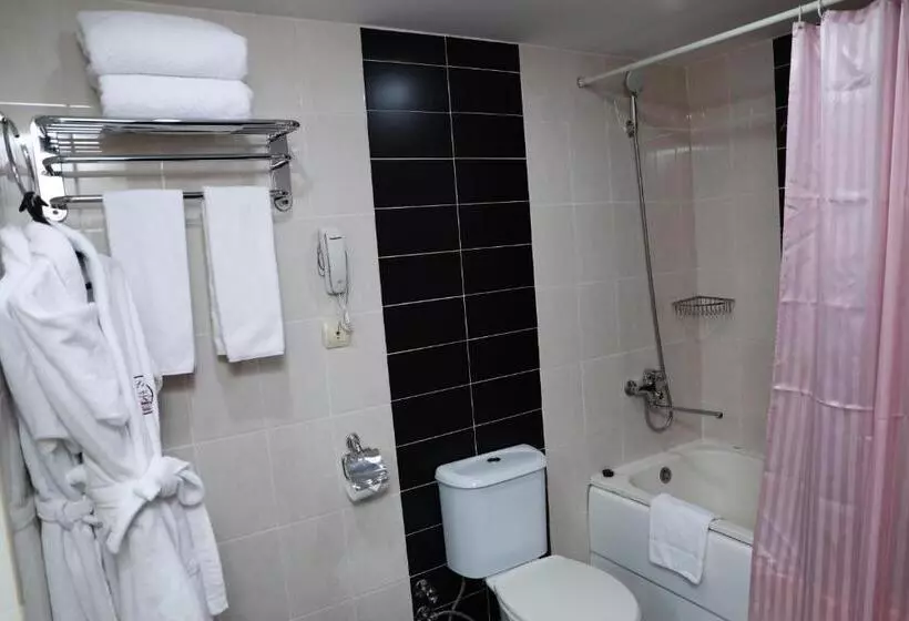 Fotos del hotel Le Grande Plaza:  12