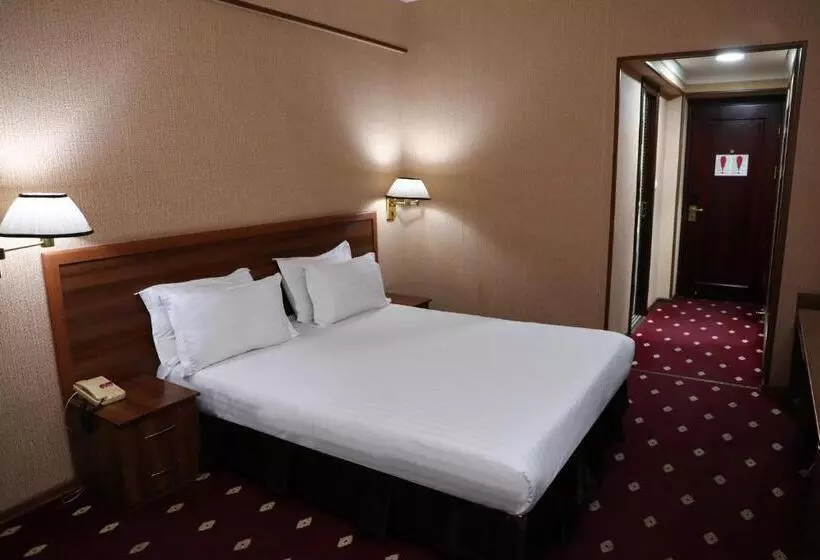 Fotos del hotel Le Grande Plaza:  13